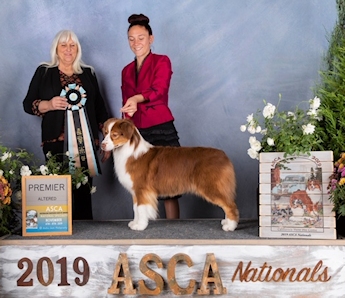 Katie Premier 2019 ASCA Nationals
