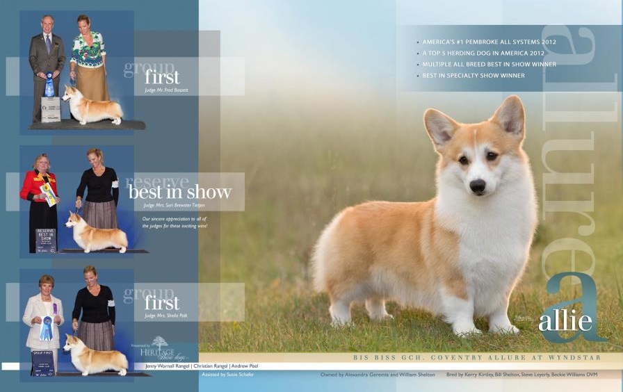 Coventry corgi shop